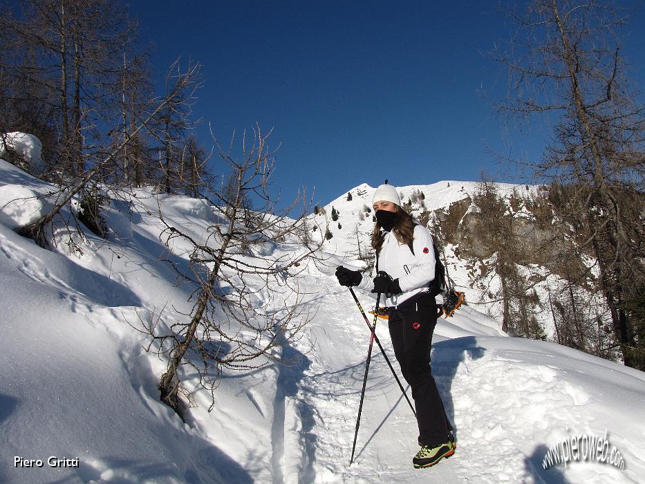 09 Fa freddo, ma ora arriva il sole.jpg